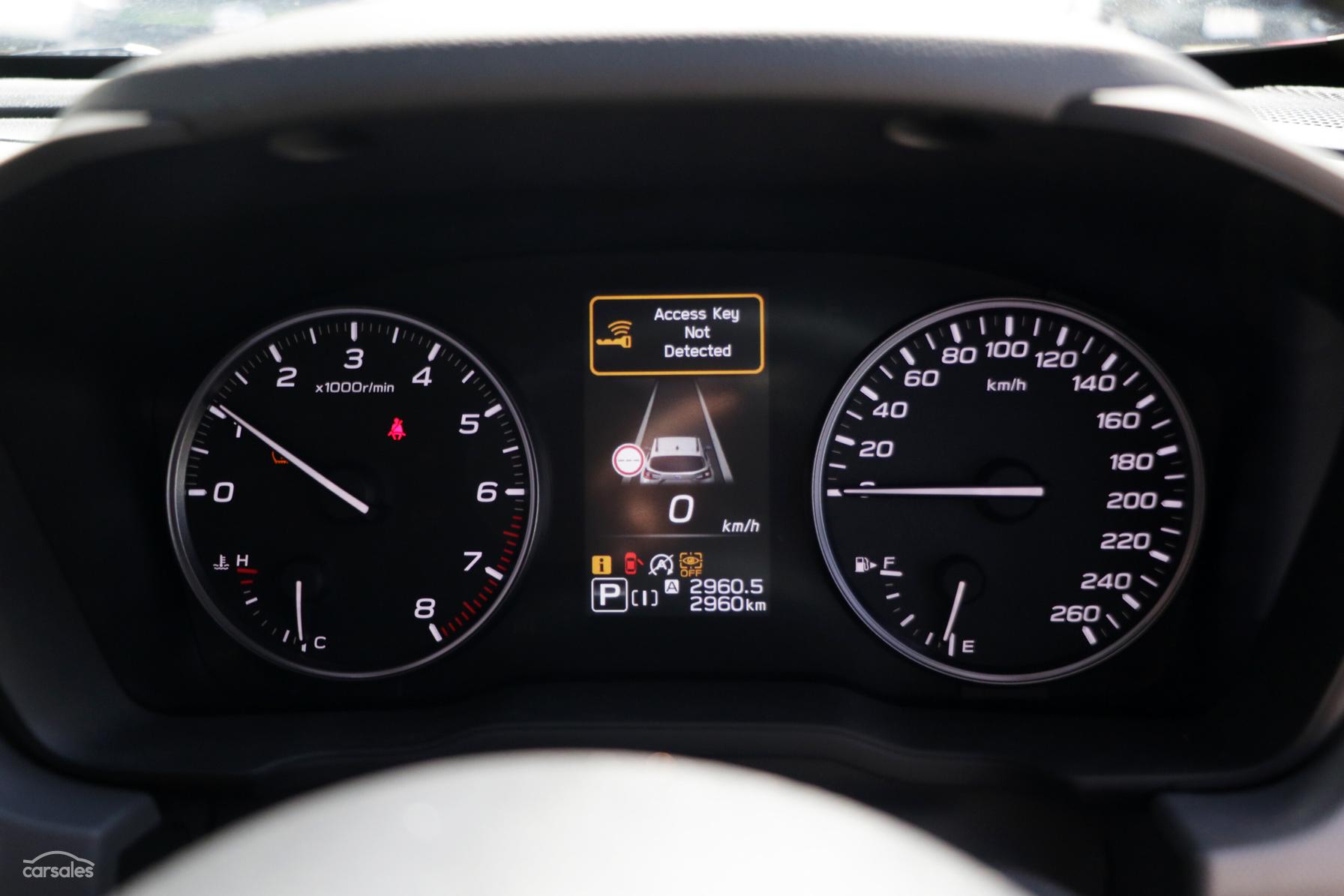Subaru в Карпатах: коли дорога — це пригода!